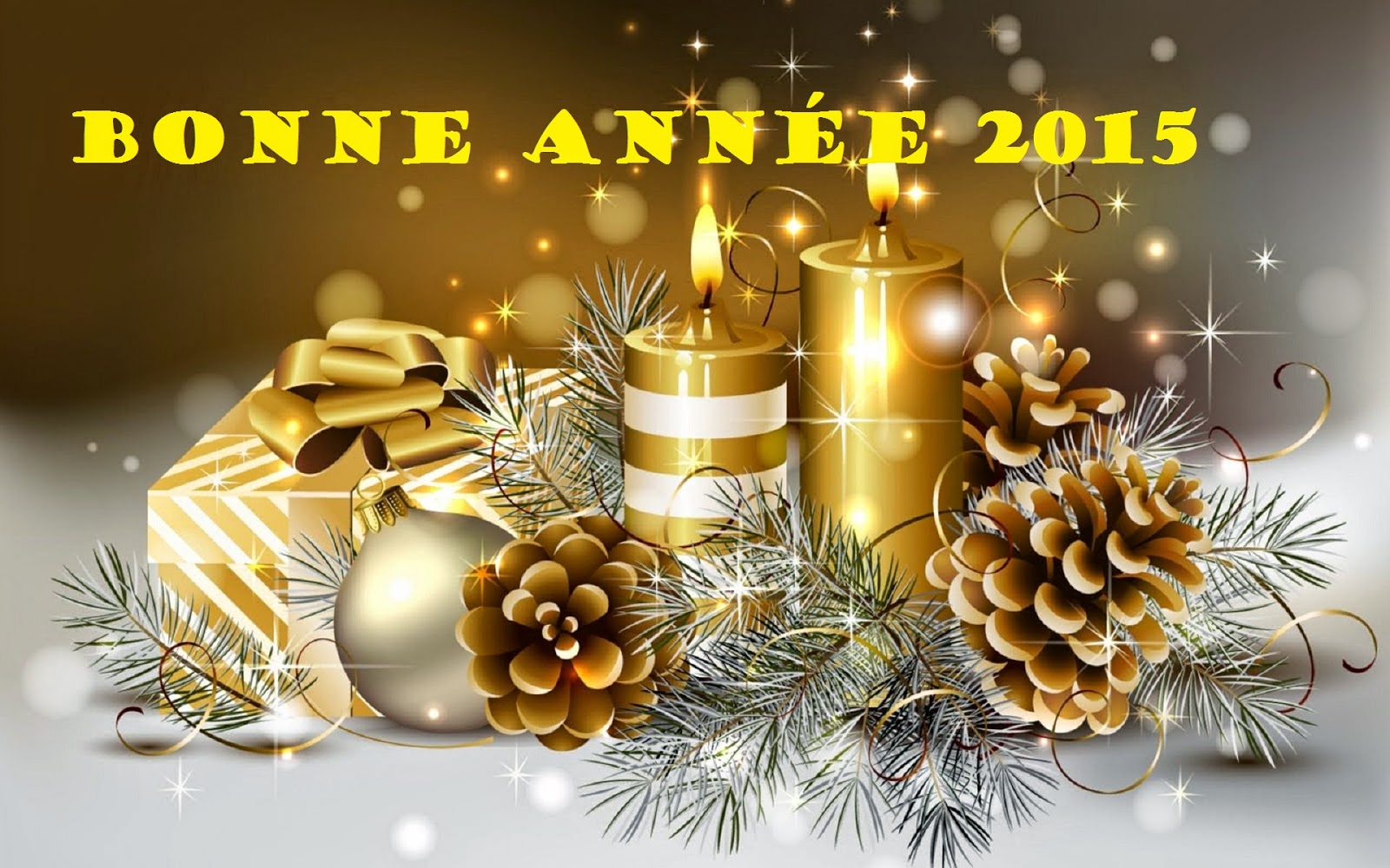 Bonne année 2015 !!!!!!